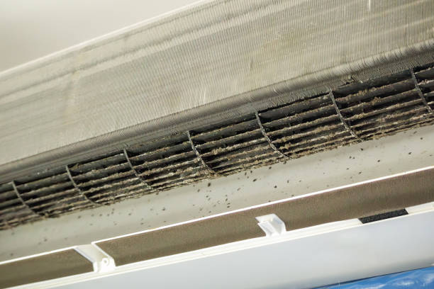 Best Dryer Vent Cleaning Services  in Emsworth, PA