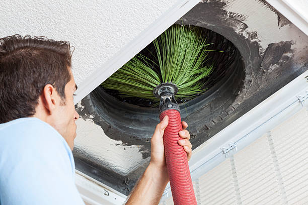 Air Duct Mold Removal in PA